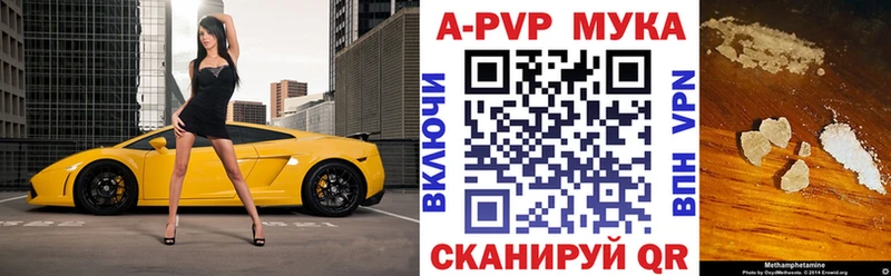 как найти наркотики  Шенкурск  A-PVP СК КРИС 