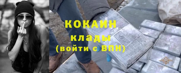 ГАЛЛЮЦИНОГЕННЫЕ ГРИБЫ Абаза