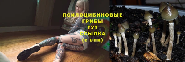 трава Абинск