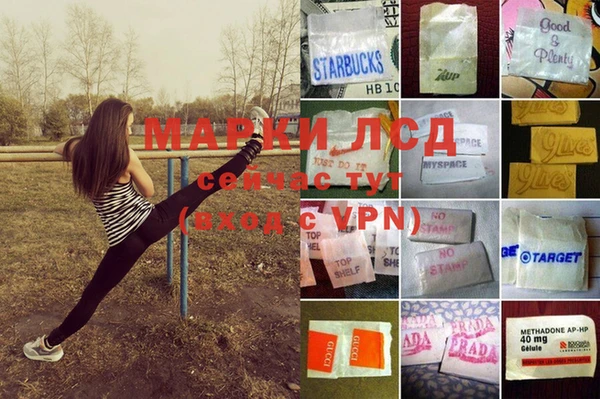 трава Абинск