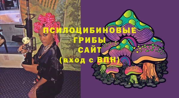 ГАЛЛЮЦИНОГЕННЫЕ ГРИБЫ Абаза
