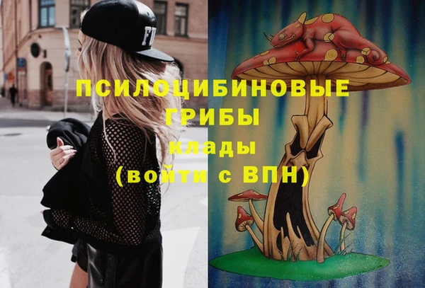 трава Абинск
