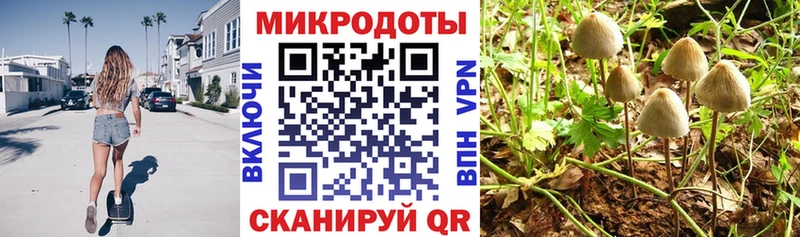 Псилоцибиновые грибы ЛСД  Шенкурск 